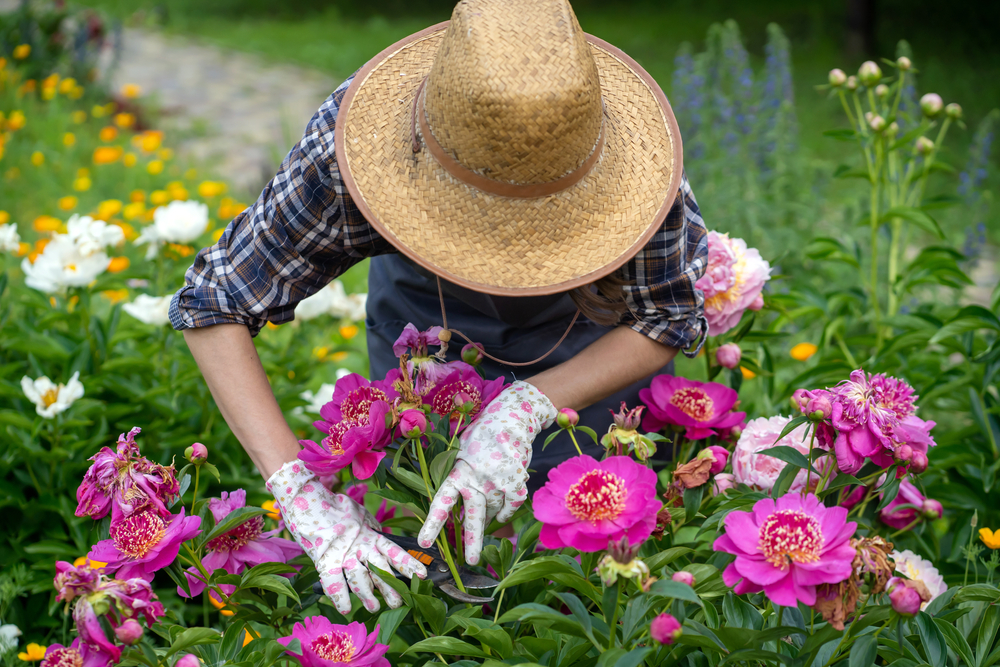 gardening hats