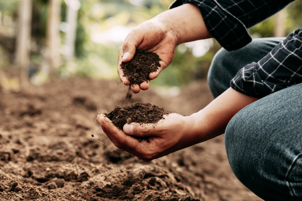 Soil Testing