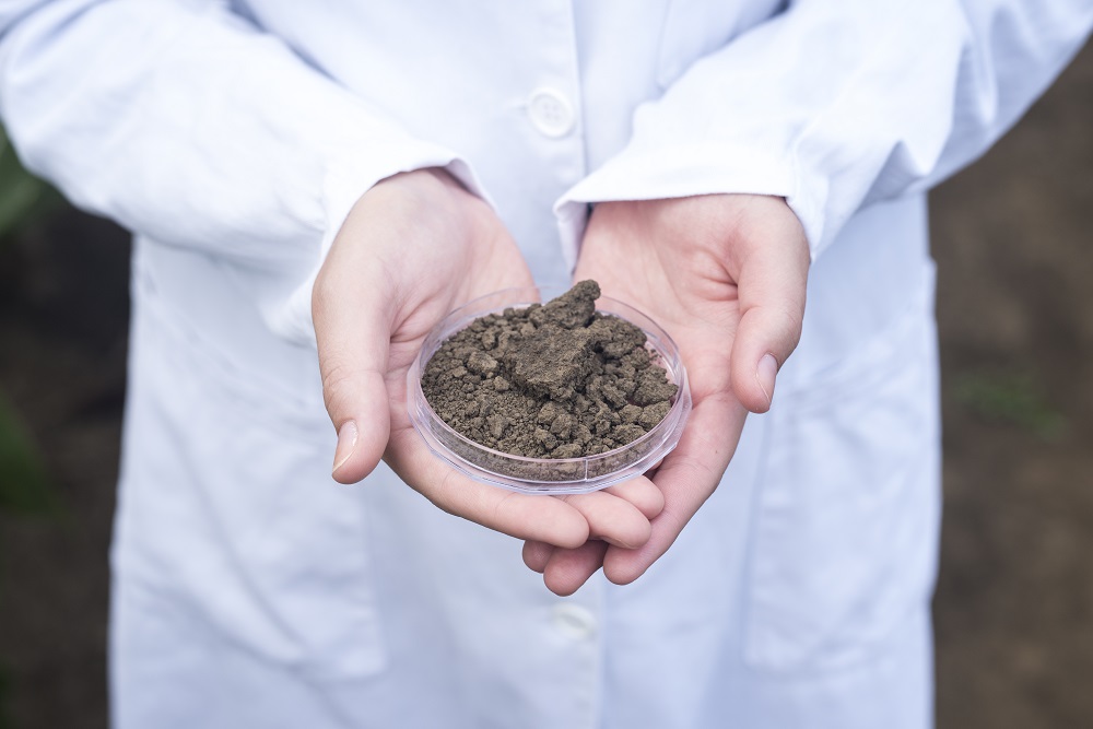 Soil Testing