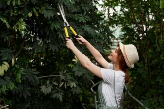 tree pruning ringwood