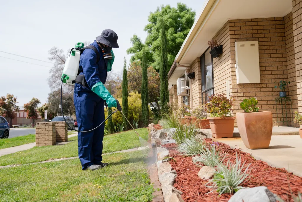 Termite Barriers